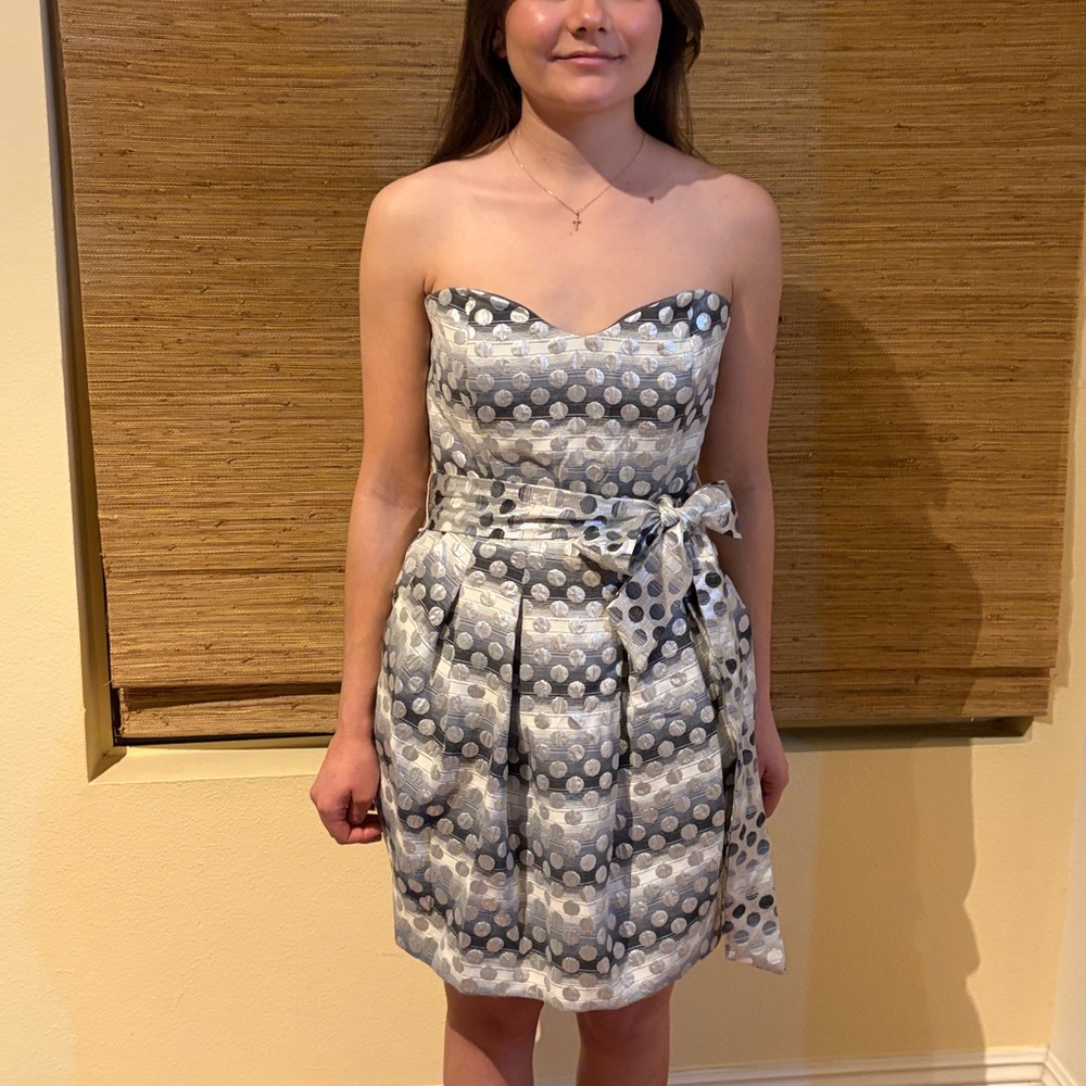 Rubber Ducky Productions, Inc. Silver and Gray Mini Dress